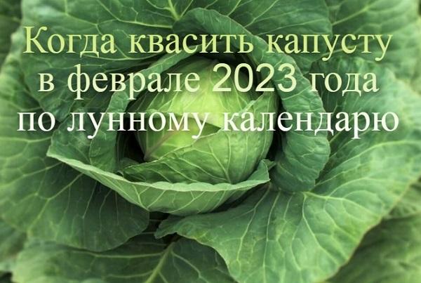 Wann man im Februar 2023 nach dem Mondkalender und der Stellung der Sternbilder Kohl fermentieren sollte und was die Volksweisheiten sagen