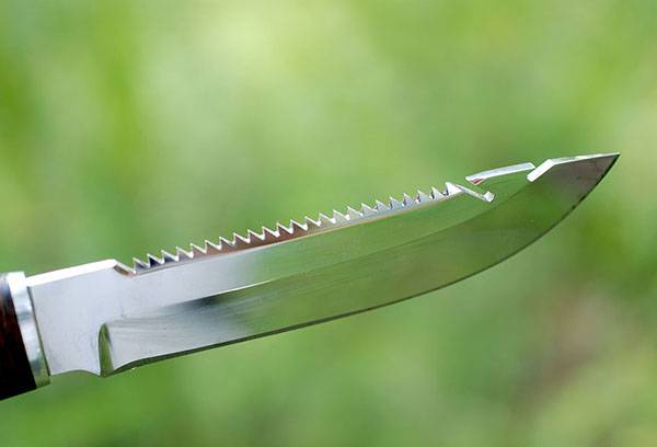 Trekkingmesser für Fisch
