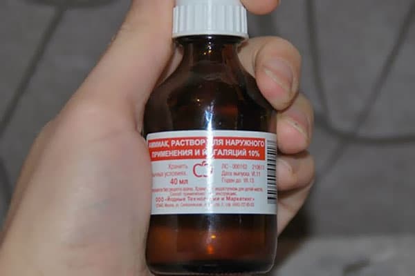 Ammoniak