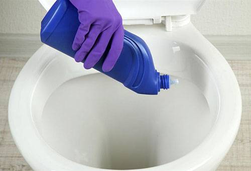 Rostentfernung von Toiletten