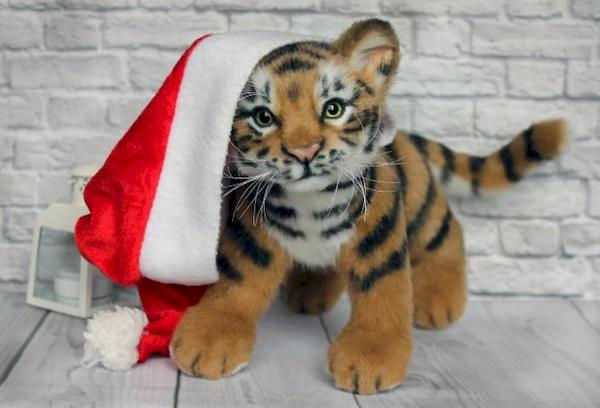 Jahr des Tigers