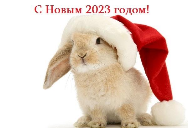 Frohes Neues Jahr 2023