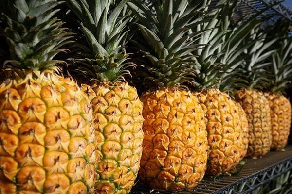Ananas mit gelber Schale