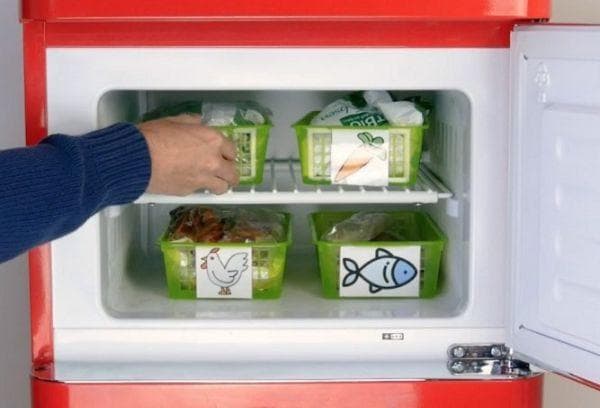 Organizer für das Gefrierfach